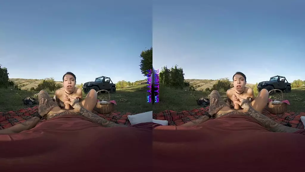 грязный пикник