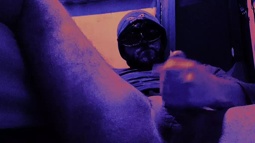 любительское одиночное домашнее-плохой волк28