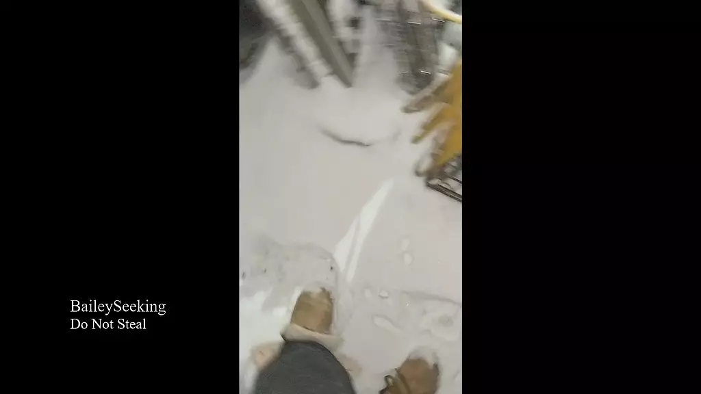 весело писает в снежный день