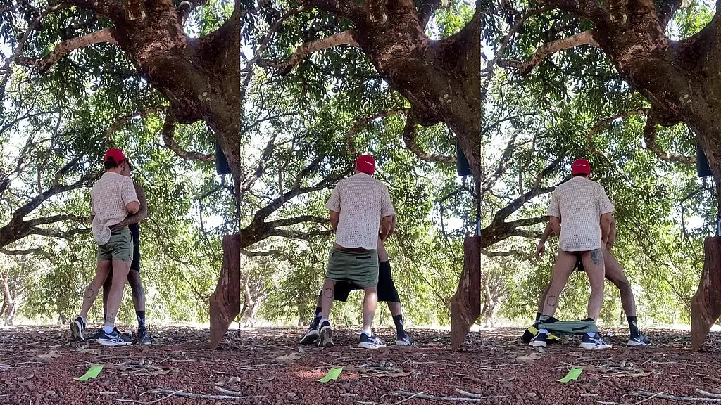 камера escondida comendo o boy no parque da cidade