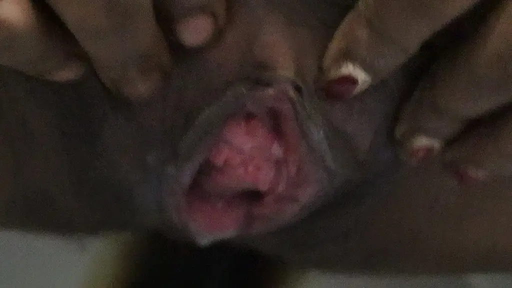 Индийская домохозяйка дези дрочит киску и показывает обнаженное тело и просит нового сексуального партнера