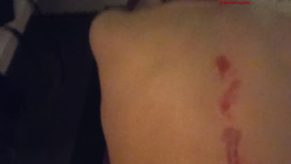 test d un nouveau meuble bdsmma chienne a eu la chance d inaugurer mon nouveau ...