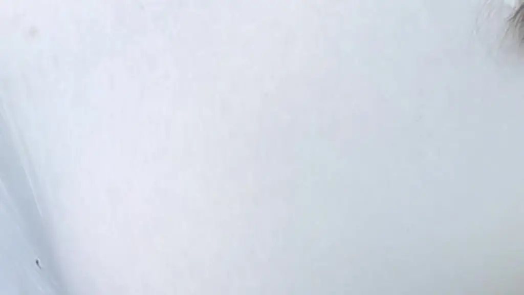 je suis d’humeur coquine ce soir !