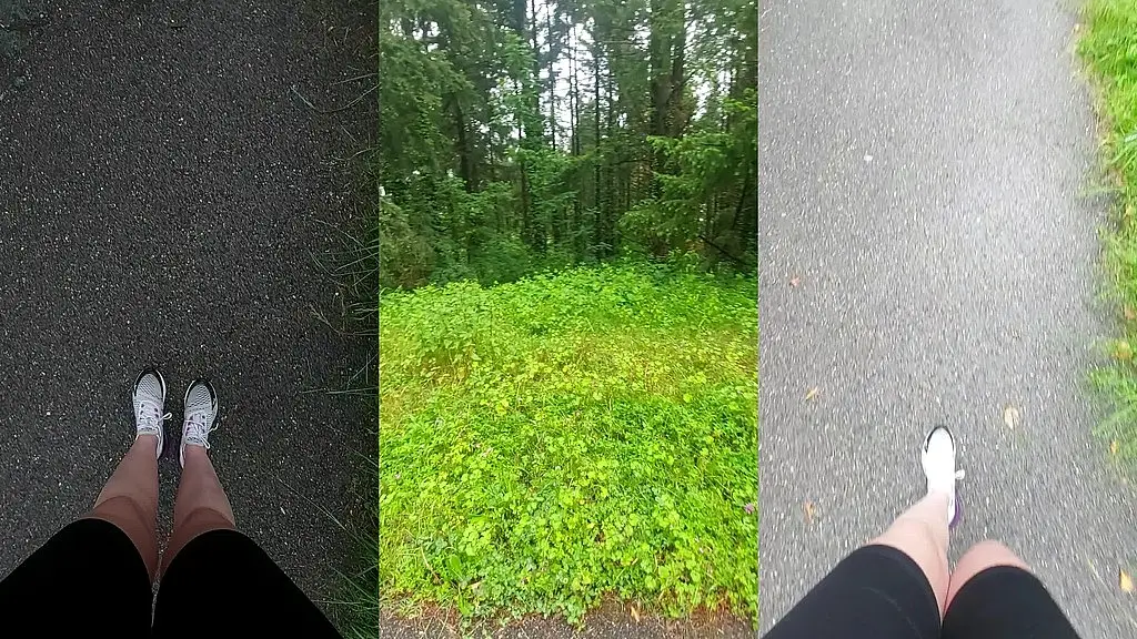 petite marche dans une foret ! tu voudrais venir avec moi et qu on baise dans ...