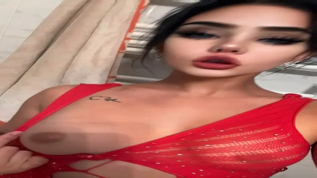 coucou mes chat bien dormis