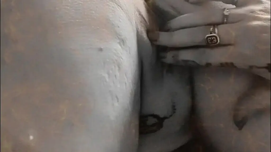 coucou c est l heure de manger ton 11eme petit chocolat