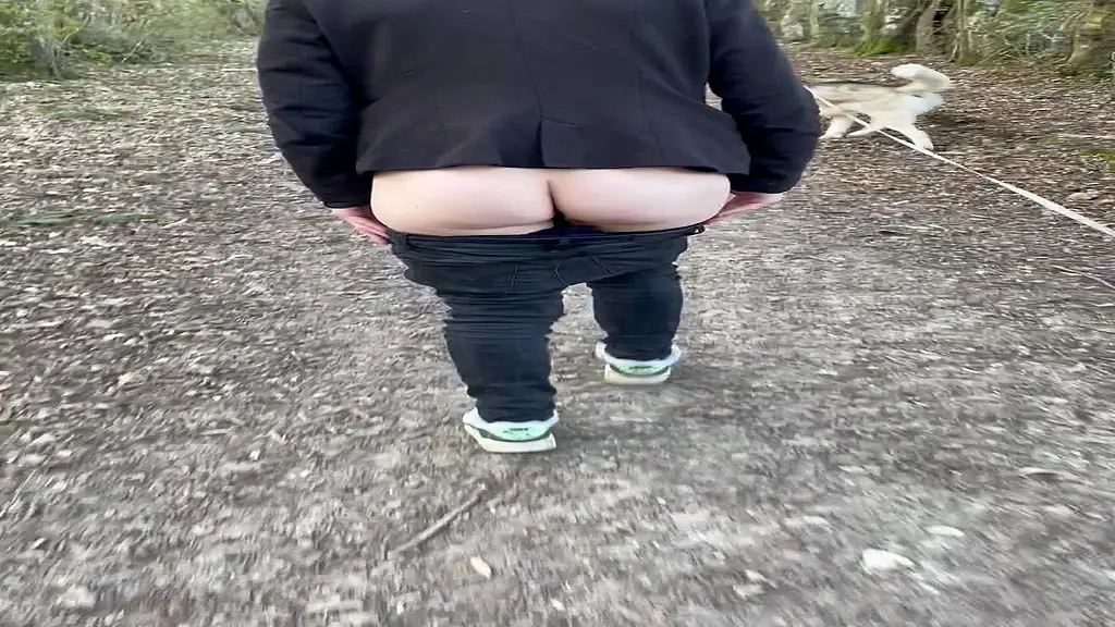 promenade dans les bois