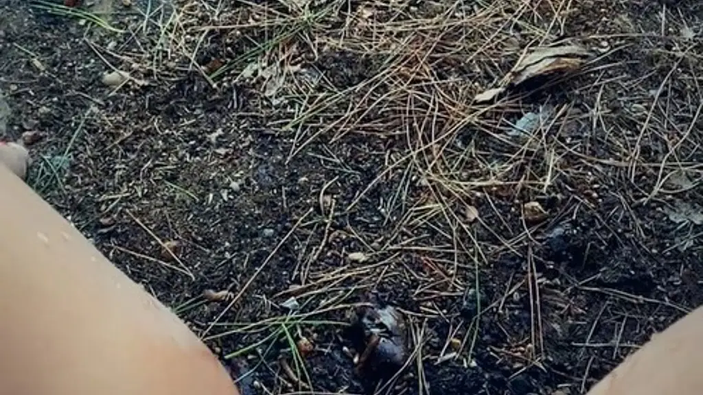 vicalouqua - update #440 - sep 22, 2021