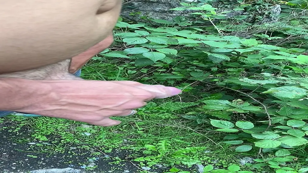 voici la suite et fin de la video contre le rocher comme je l’ai dit c’est ...