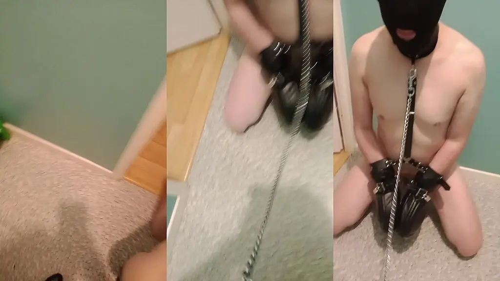 j emmene mon switch aux wc en laisse et pisse devant lui en l humiliant et ...