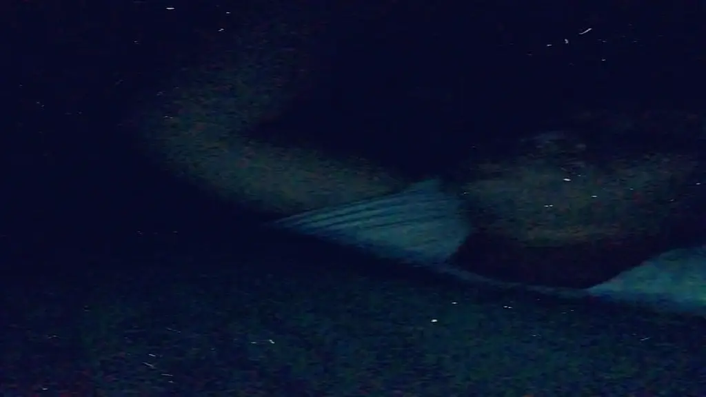 plaisir du soir de hier