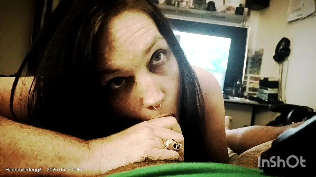 kenzie kiwi and panda are in a calibration of mixed times