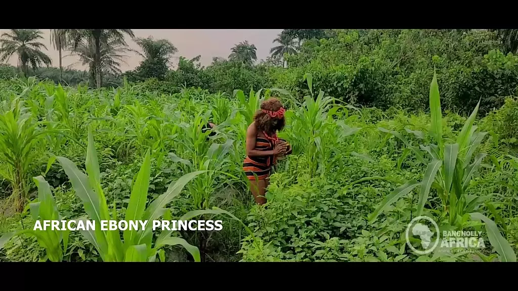 Bangnolly Africa - секс на улице с чернокожей африканской принцессой