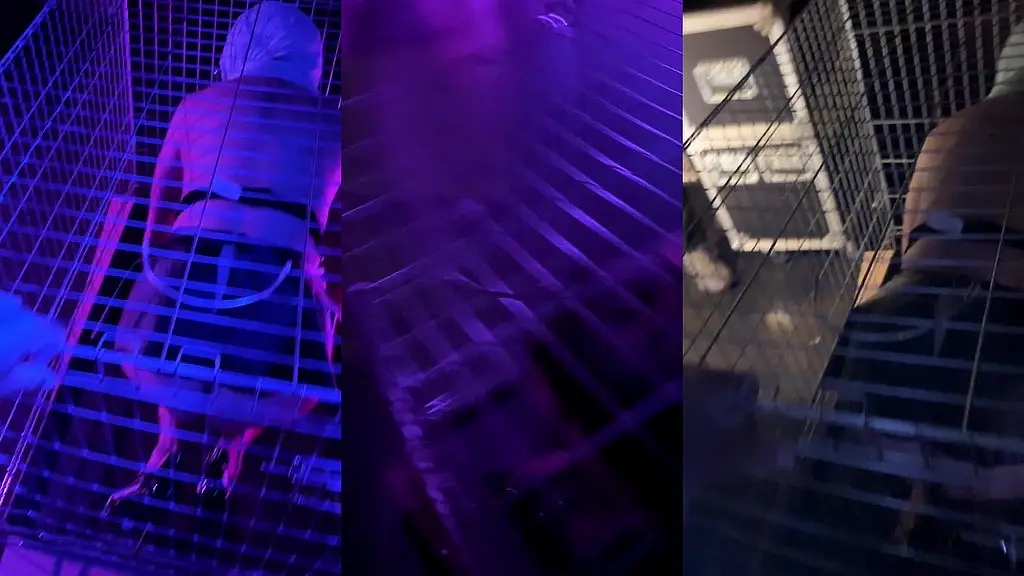 video le debut du gangbang