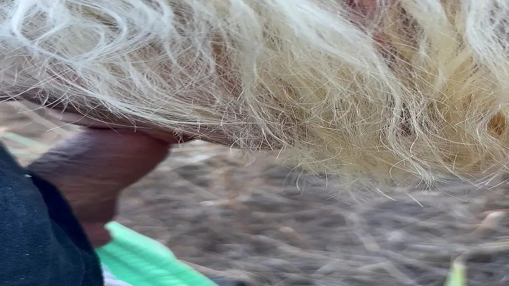 mes aventures au portugal