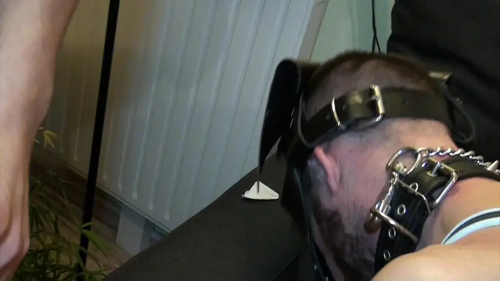 2113 dogtraining et fetish sumission par un puppy et son ptoespecial video avec...