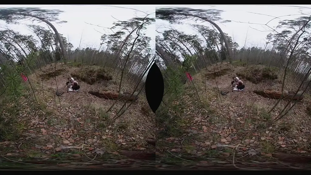 crazy outdoors fucking