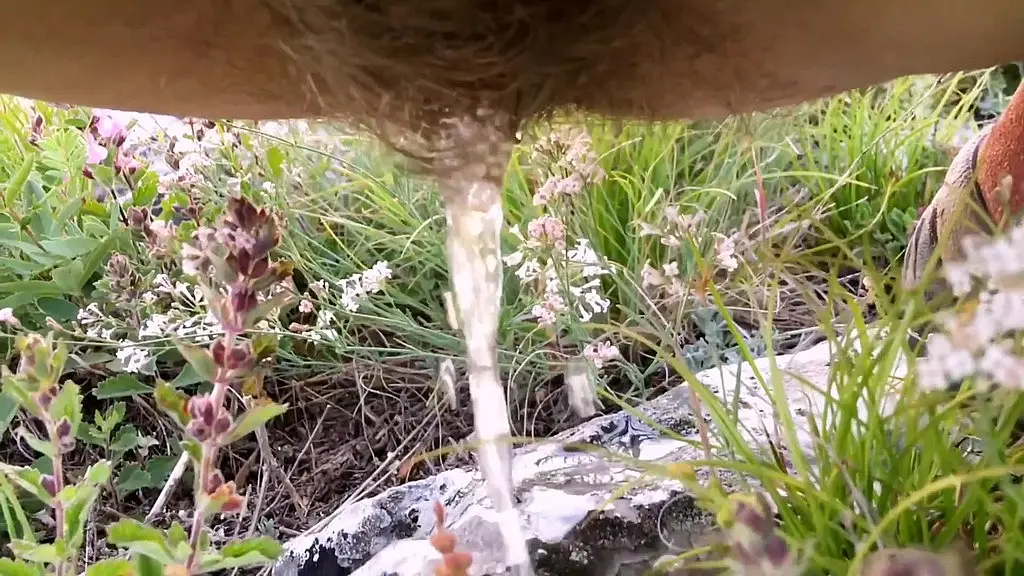 pee outdoors, risky toilet in the forest