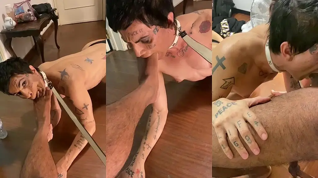 cadelinha nos pes do dono