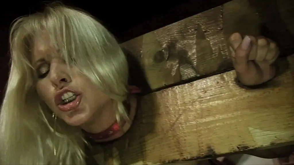 kathy anderson is double fucked by two massive cocks in every hot hole