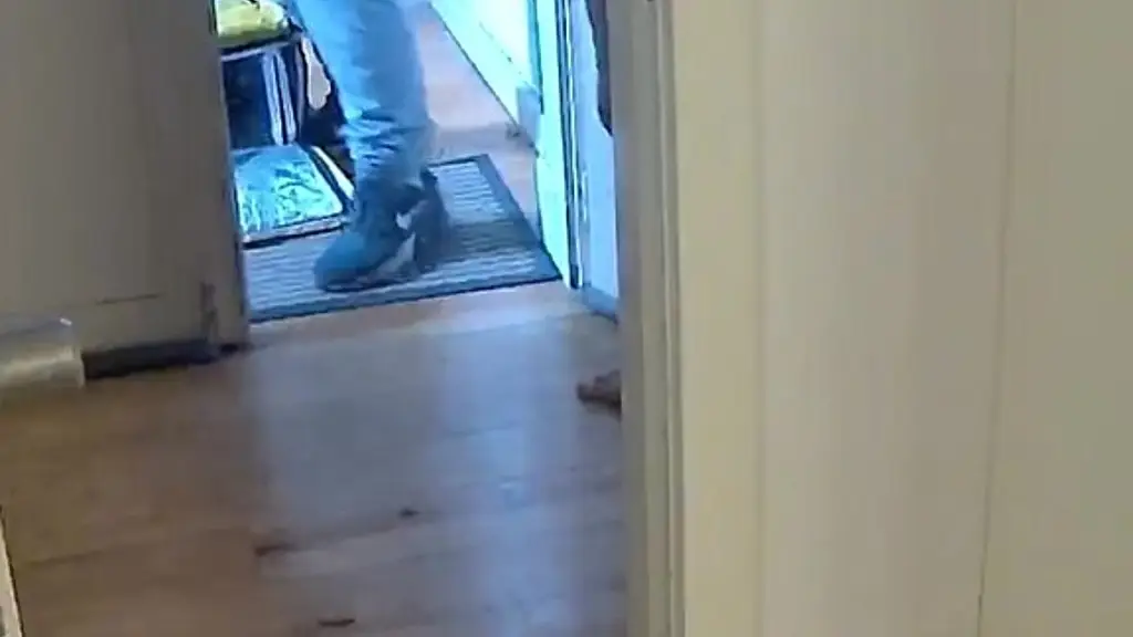 boy flashes his boner to the delivery guy and invites him in - part 1