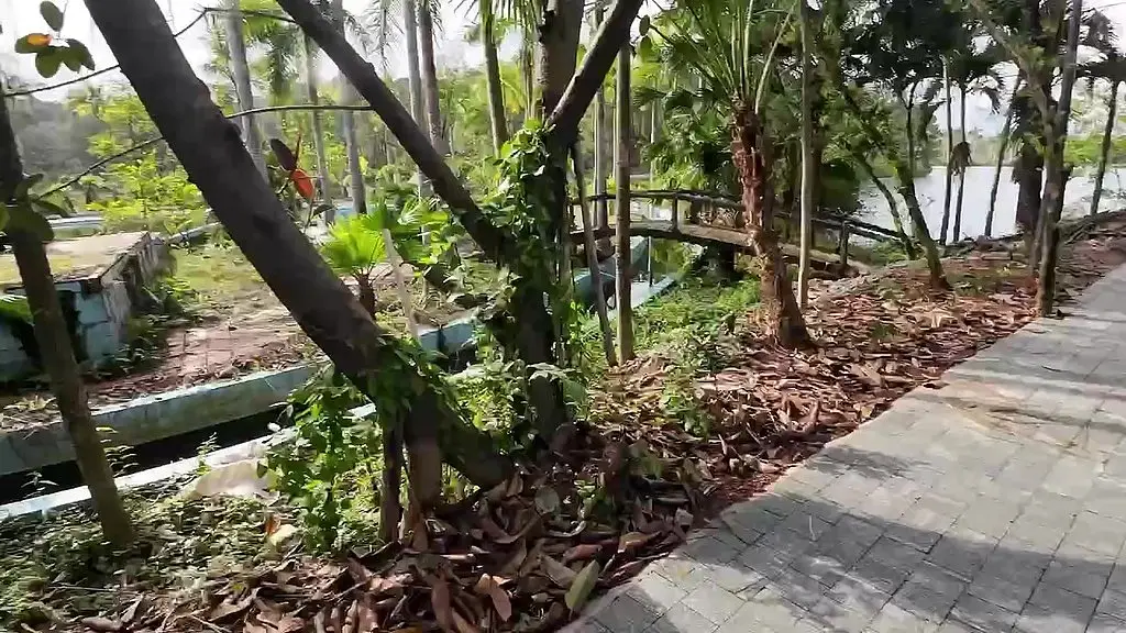 blowjob in abandoned waterpark