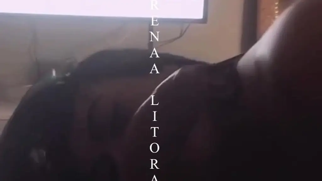 mamando piroca grande e grossa