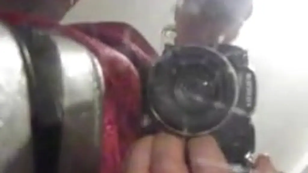 felinabella4 - update #138 - dscf8133 - aug 21, 2025