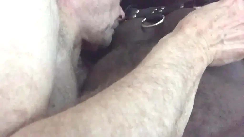 close up verbal interracial duo nipplepig play