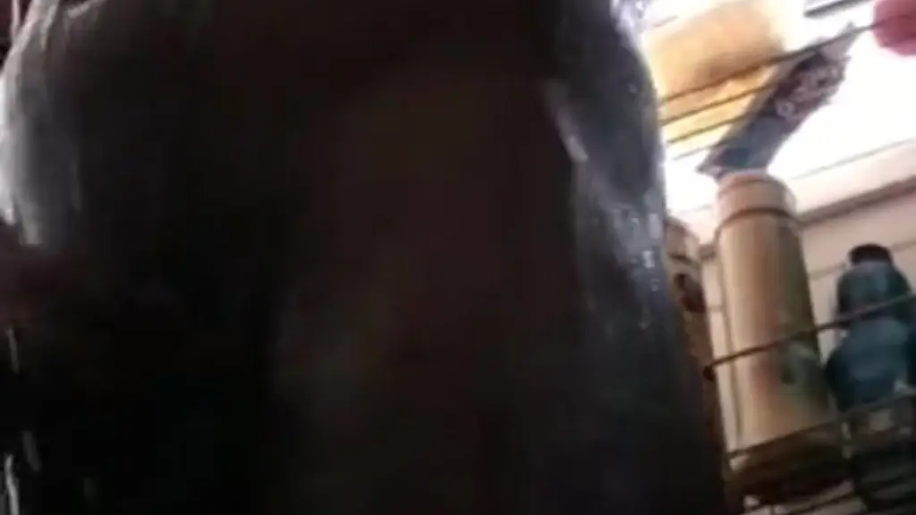 cdzinha maylopes mostra seu cuzinho