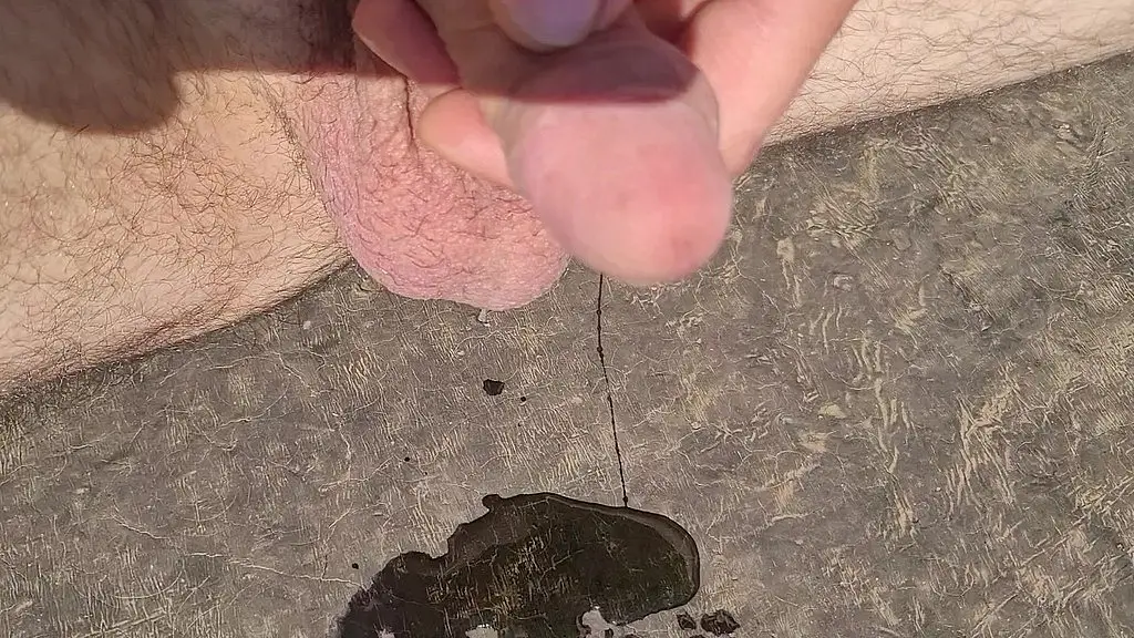 just a bit of fun in the sun, and a bit of pee action ;)