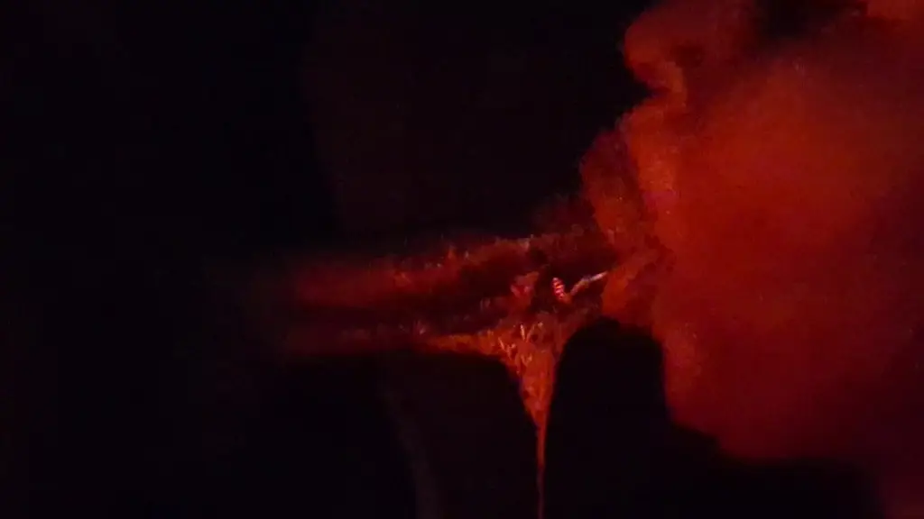 perfect lips--calls him to the red room to slurp dick until it nuts!!!