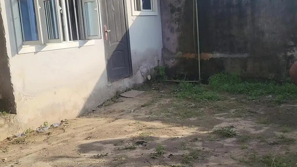 eating pussy is a hobby for janbari