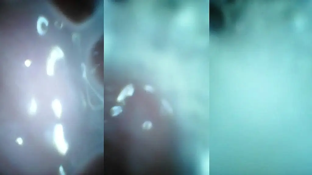 creampie camera