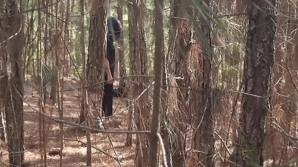 bruxa ordena que, turista perdido na floresta faca ela ter um orgasmo pra nao ser enfeiticado! halloween
