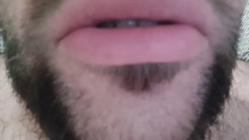 put your pussy here 3
