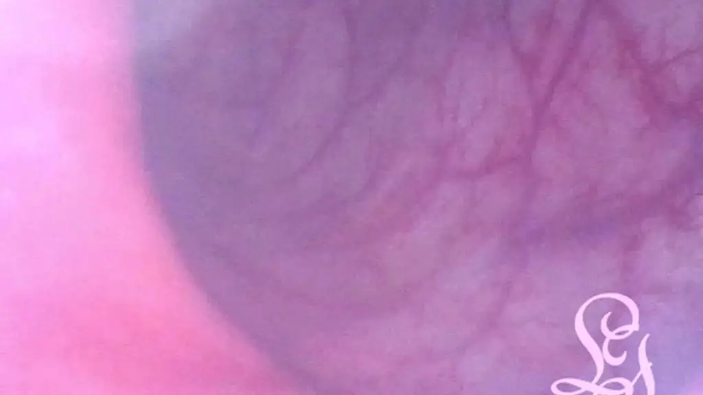 pov dive into lina s clean ass! (enema minicam)