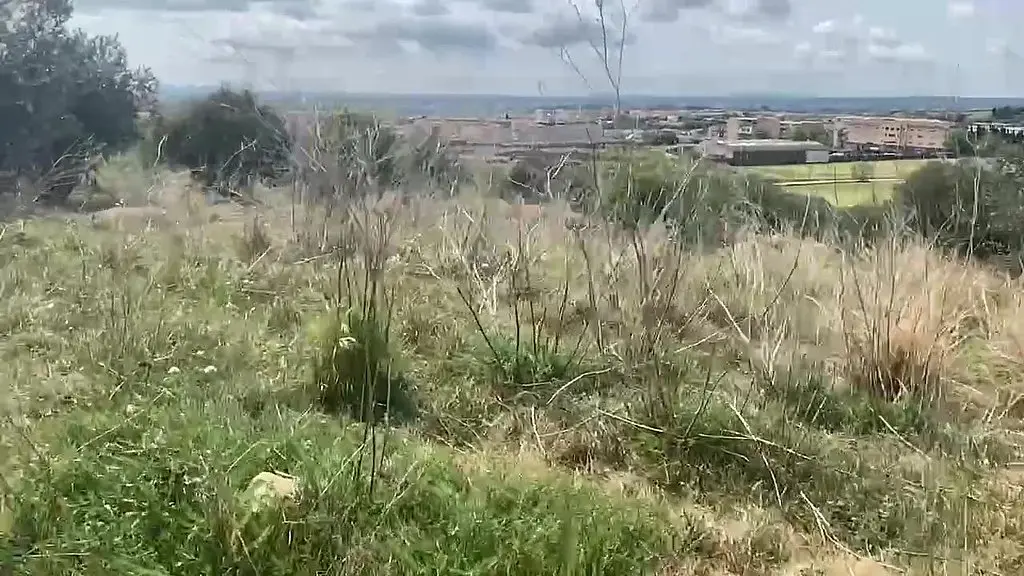 mountain excursion