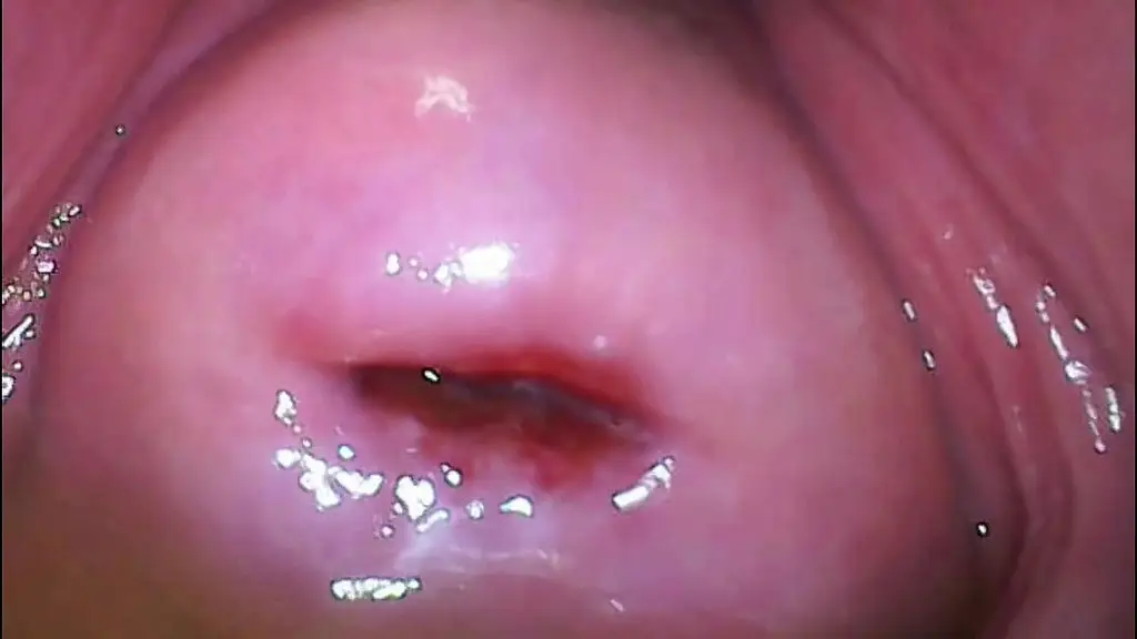 extreme close-up pussy cam