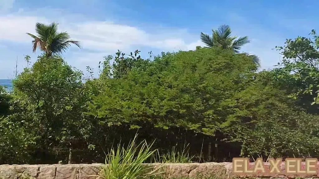 ela casada safada foi ate o rj escondida do marido encontrar amigo dotado e transou na praia...