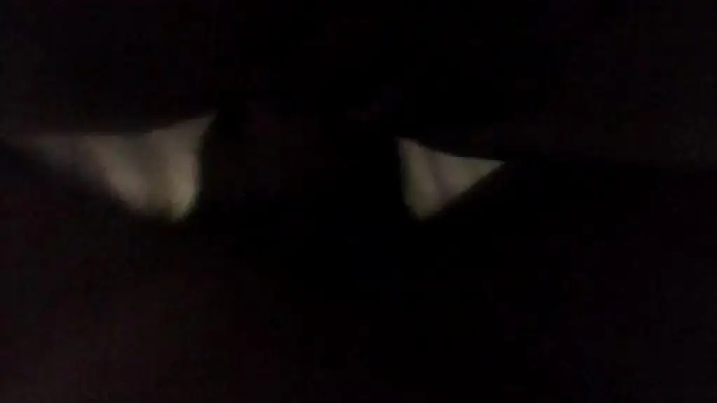 slow stroking at midnight
