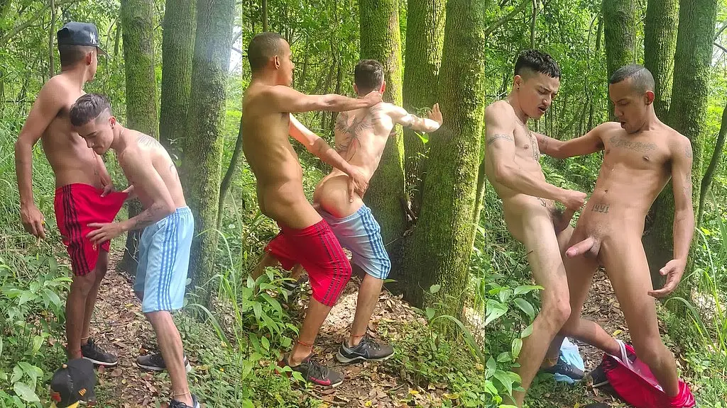 me gusta follar en el campo
