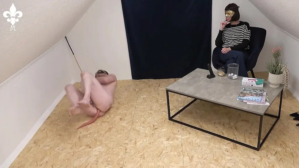 pet play!