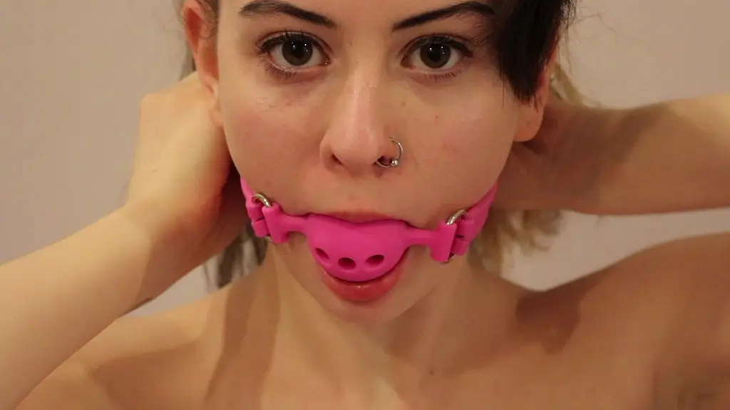 ball gag, paddle, and my doxy