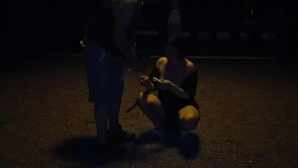 he cum on my face in the park