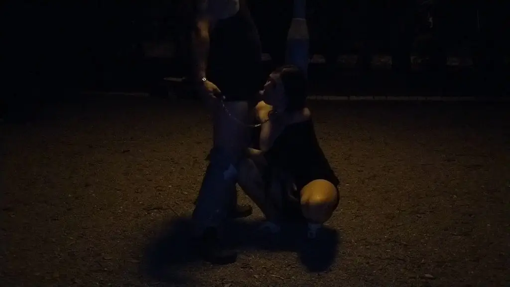 he finish on my face in park