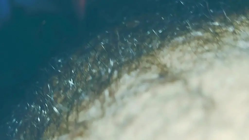 my body up close wearing white socks - feb 22, 2026