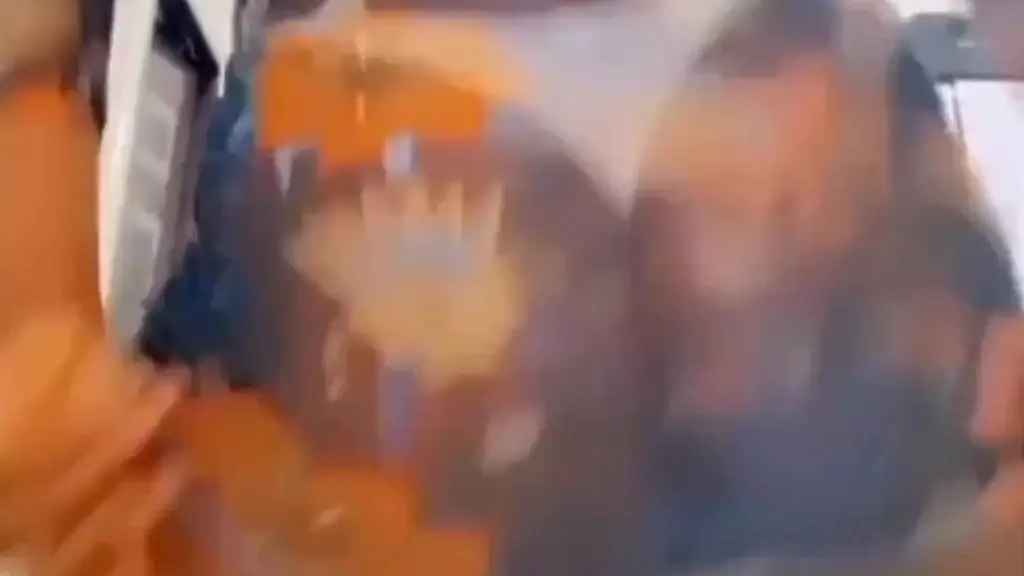 booty! booty! booty! booty everywhere!!!