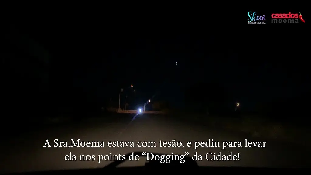 fui na rua do dogging na minha cidade e deixei um estranho pauzudo me comer