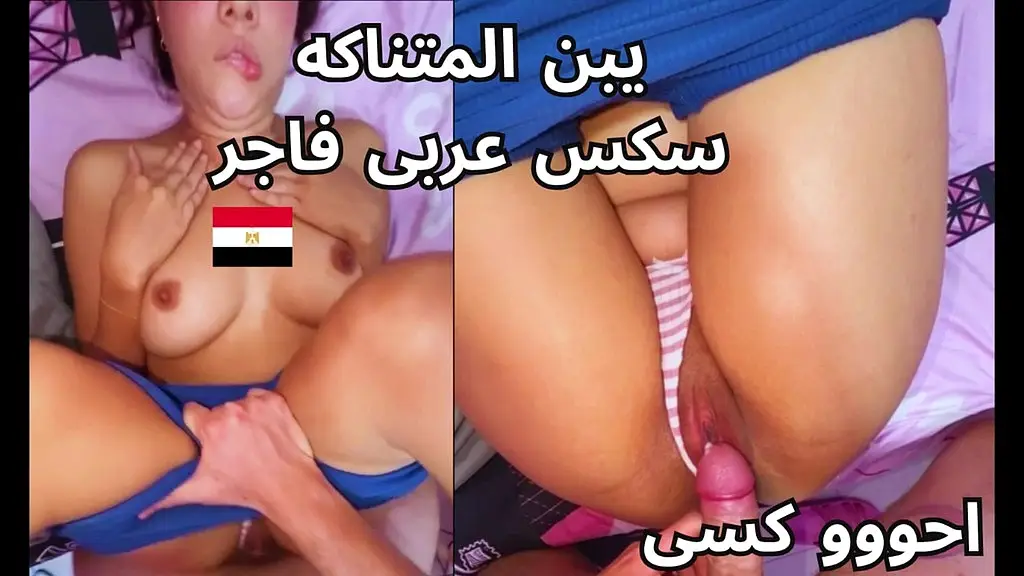 فضيحة مدام امال شرموطة المنصوره تتناك من محصل الكهربا طيزها ملبن بتقوله كسى مستنيك من اول الشهر ارزع اوى